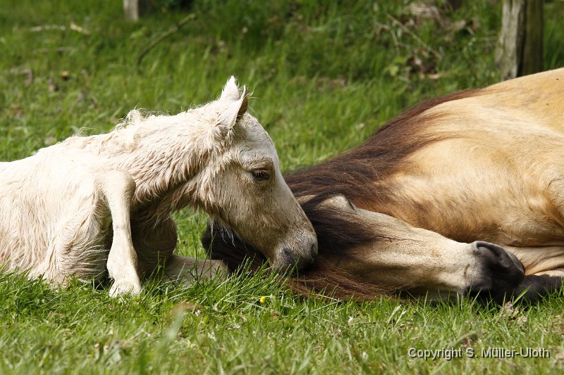 Hjoerdis 20 Min alt (4).JPG